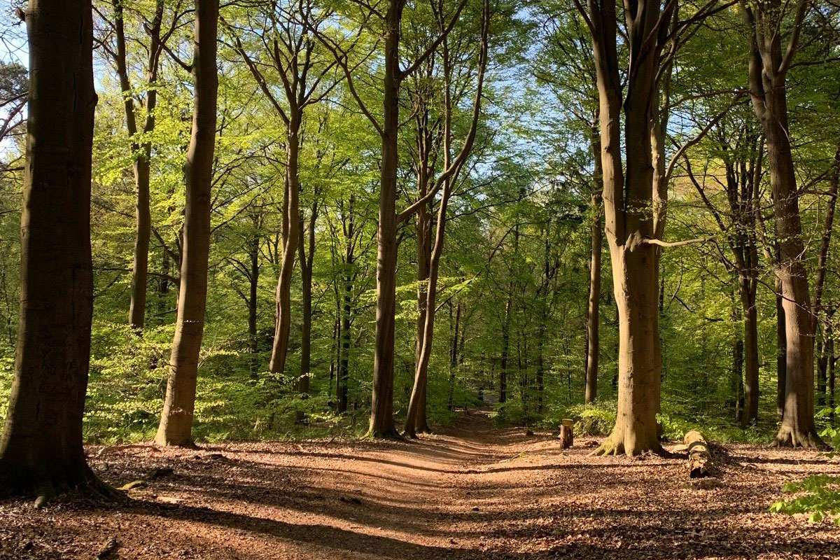 Hoogtemeters maken in de Achterhoek