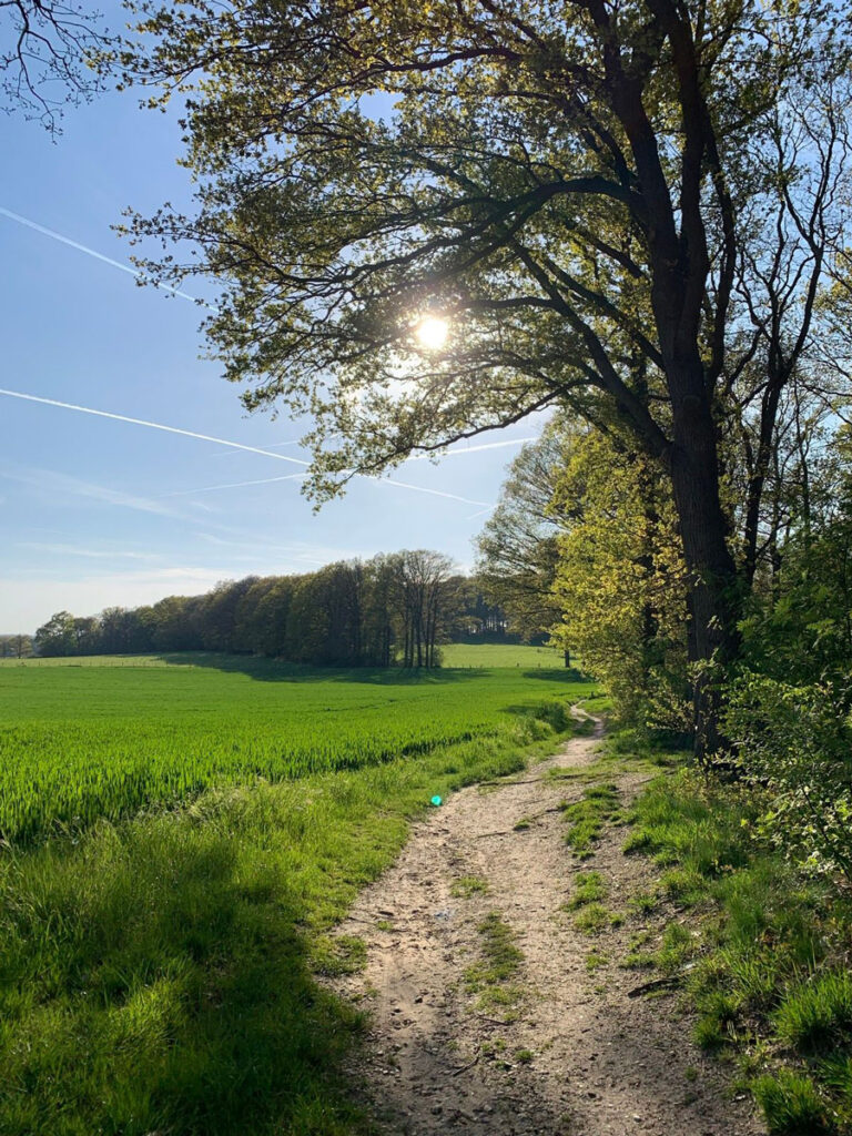 De Lochemse Berg