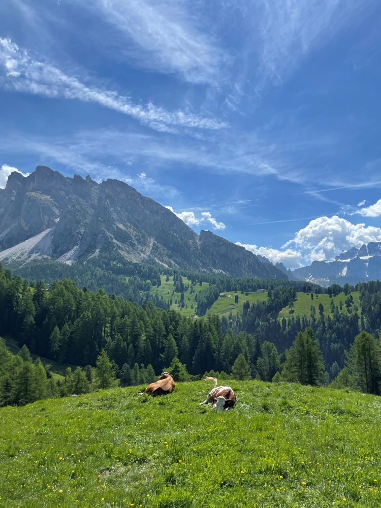 Seceda hike Dolomieten