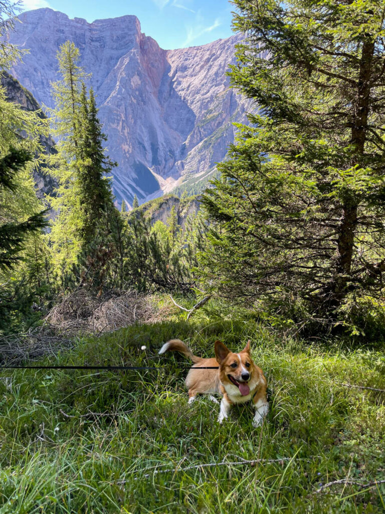 Hiken bij Lago di Braies