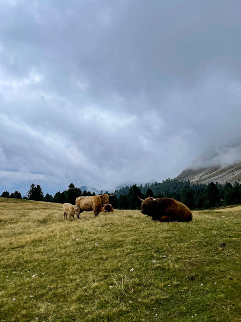 Sass de Putia Peitlerkogel Dolomieten